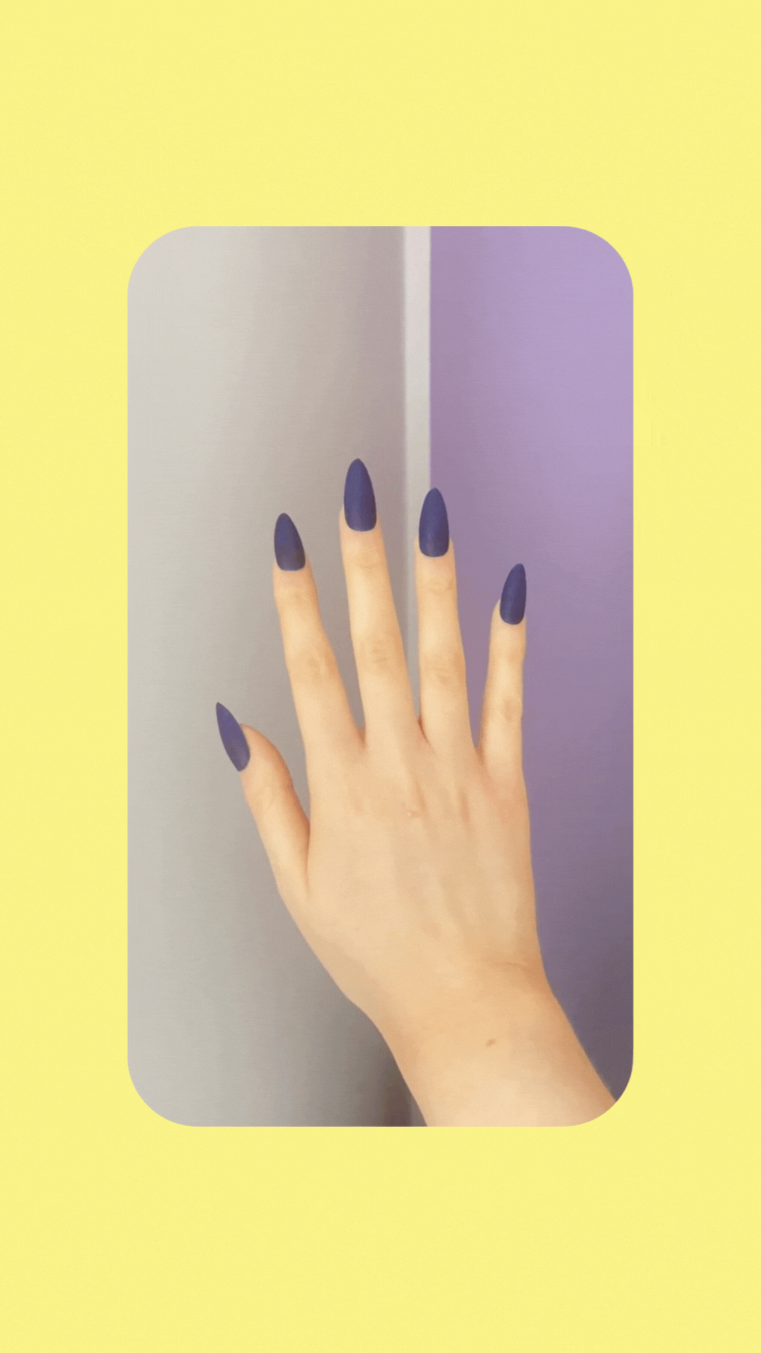 Midnight Veil (Pre-Order)